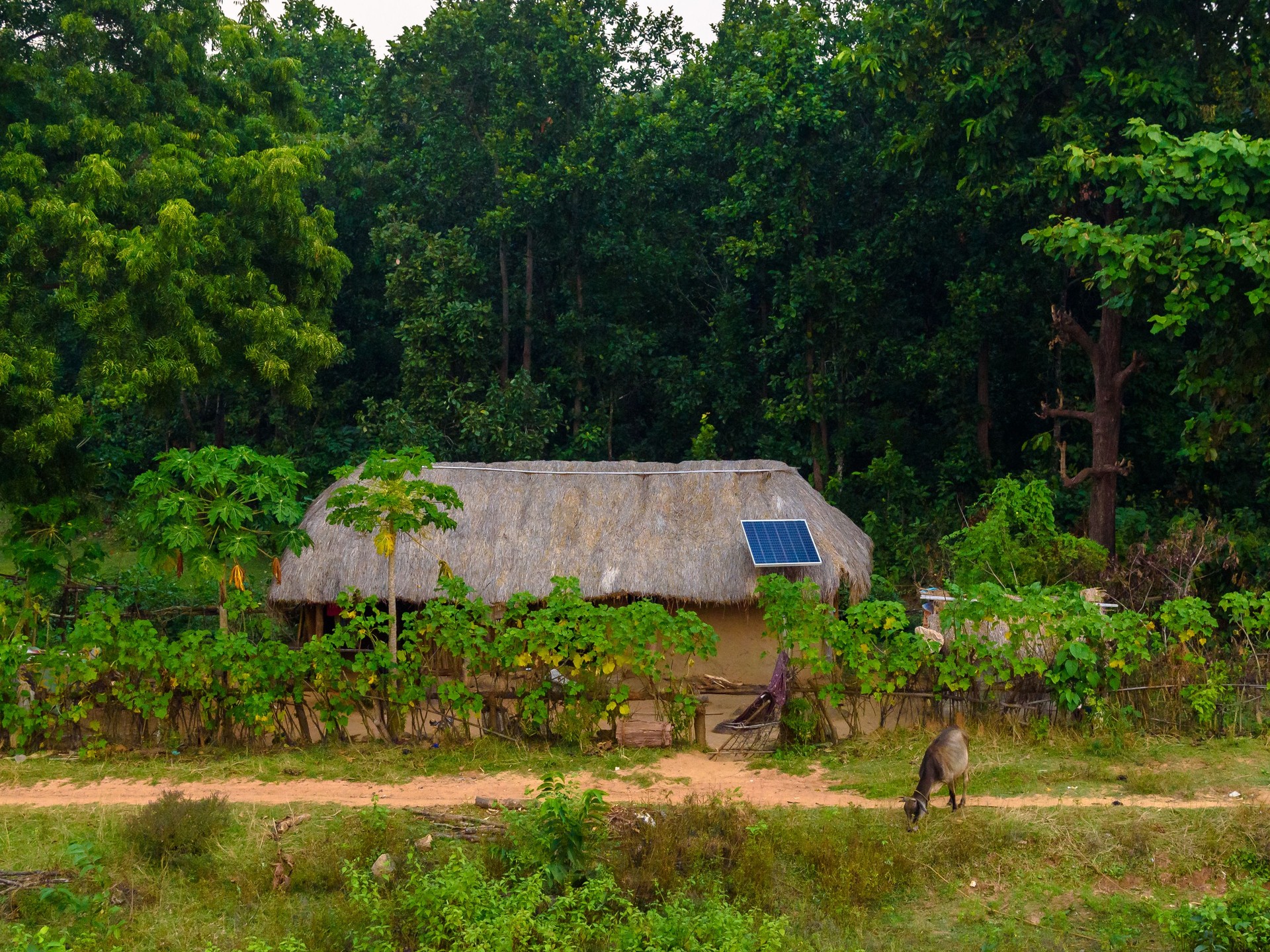 Mud House.